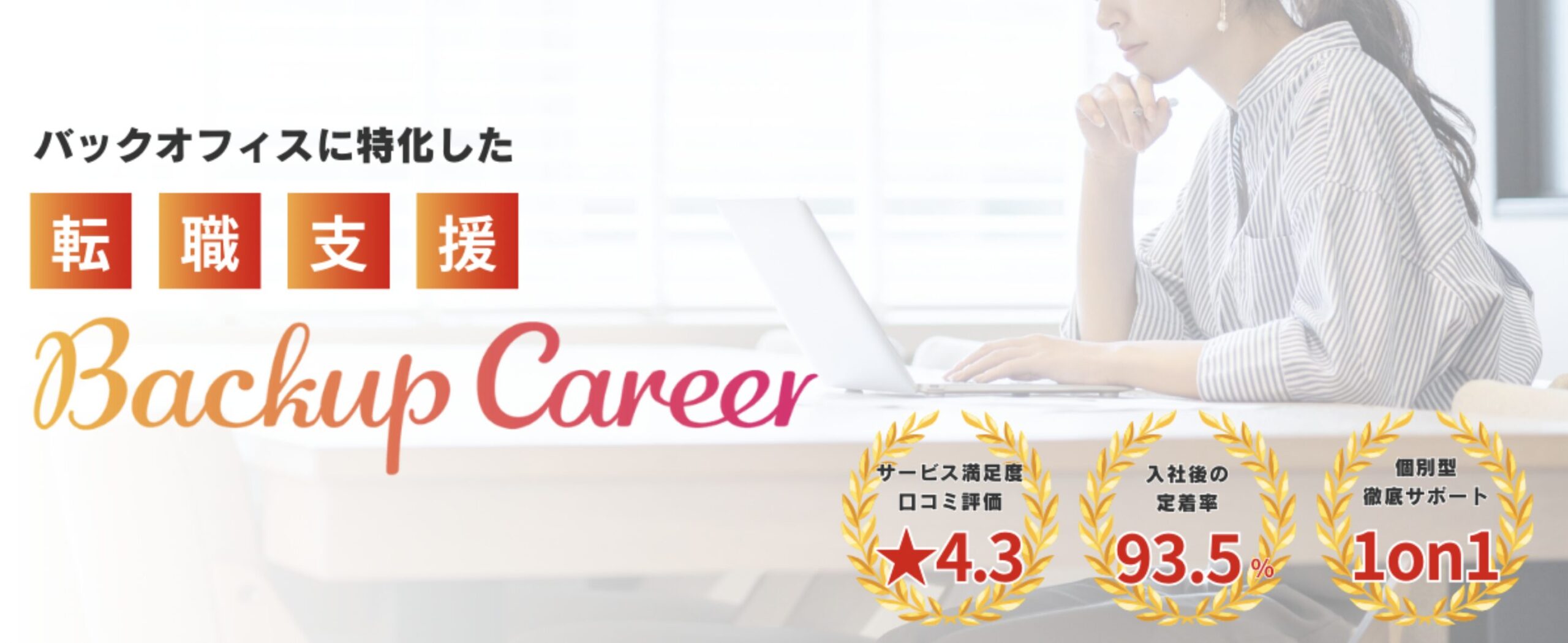 バックアップキャリアの公式画像。